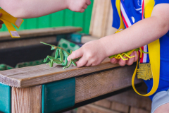 kia-mena-montessori-beckenham-learning-vegetables