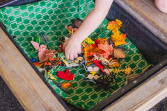 kia-mena-montessori-beckenham-nature-observation-plants